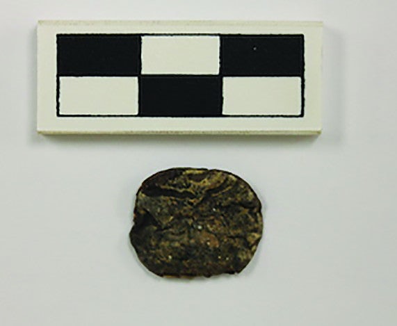 研究：古代瓦里帝國領導人或使用&OpenCurlyDoubleQuote;迷幻啤酒&rdquo;與周圍社群建立新聯絡