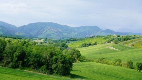 耕讀天山菜籽溝——遊走於煙火和詩意中,一群藝術家和一個村莊的相互成就 耕讀天山菜籽溝——遊走於煙火和詩意中,一群藝術家和一個村莊的相互成就