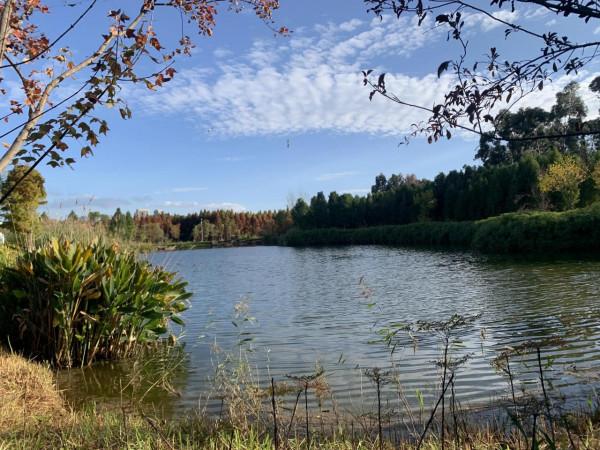 欣賞藍天白雲下的景色 欣賞藍天白雲下的景色
