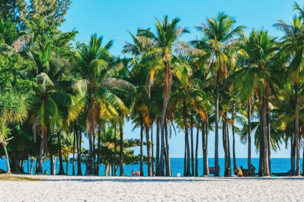 高鐵0.5h、物價只有一半，我願稱她為三亞最強備胎