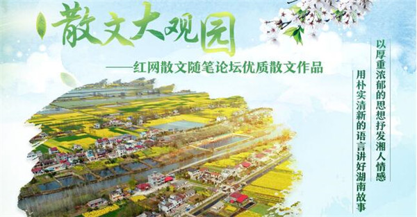 故鄉是什麼？父親去世時我才明白