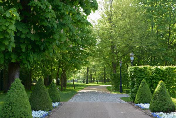 紐卡新老闆世界最貴豪宅內景曝光:自帶夜店水族館,黃金隨處可見 紐卡新老闆世界最貴豪宅內景曝光:自帶夜店水族館,黃金隨處可見