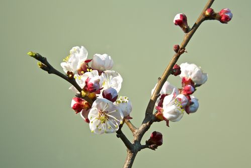 熬不下去的時候，請記住三句話