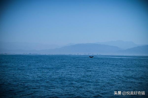 西半球旅行記6:巴亞爾塔港——探訪神秘的肚臍眼兒島 西半球旅行記6:巴亞爾塔港——探訪神秘的肚臍眼兒島