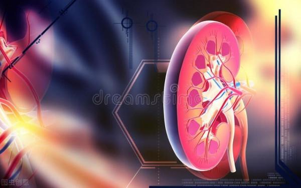 這樣阻斷腎功能進展，才能避免尿毒症！主要包括以下7點