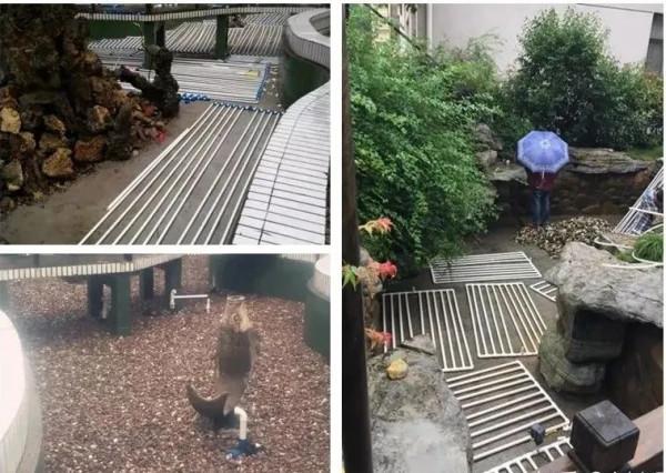 你的魚池過濾系統是否需要最佳化？