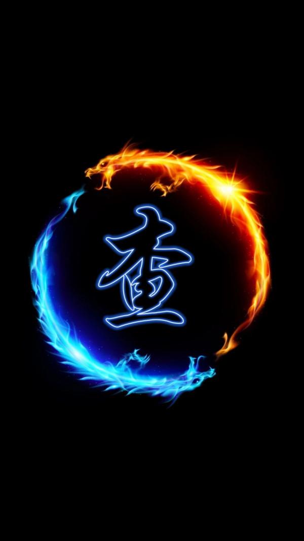 杜鵑鳥的蛋到底下到哪裡了？作業本上的記錄顯示似乎不是在封封