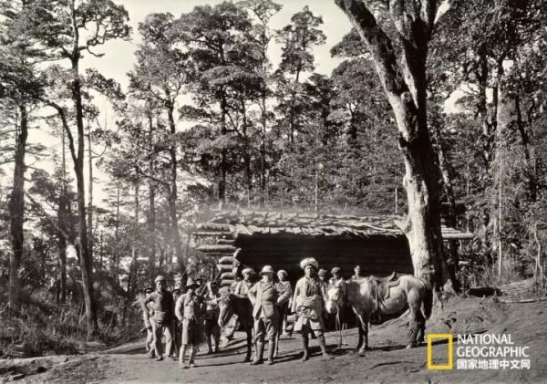 怒放的木裡，美到不真實