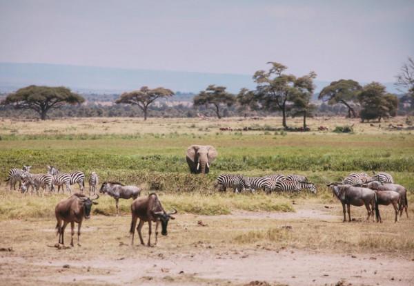 非洲“黑人”留學生,為什麼喜歡留在中國? 非洲“黑人”留學生,為什麼喜歡留在中國?