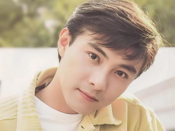 張衛健：結婚20年，至今無子，他的故事遠比你想象得更精彩