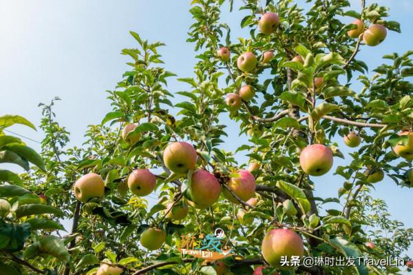 嚮往的鄉遊就在北京延慶