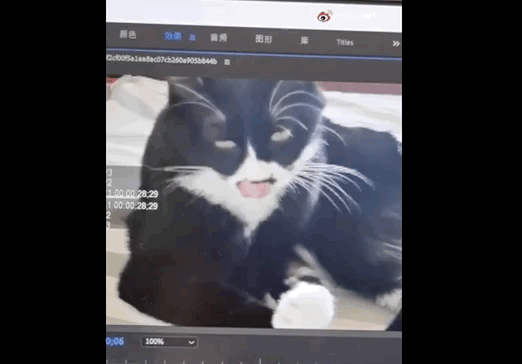 所以於正劇組虐貓了嗎