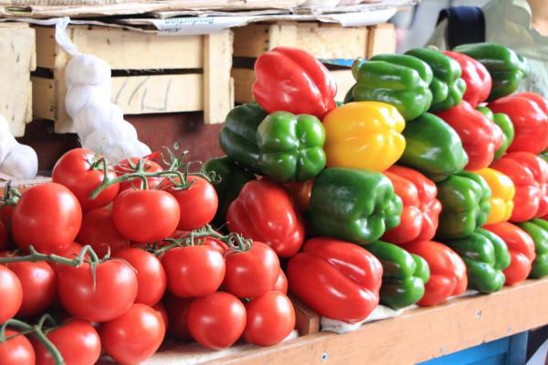 中亞五國漫遊之吉爾吉斯，我們在那裡拜謁了詩仙李十二出生的地方