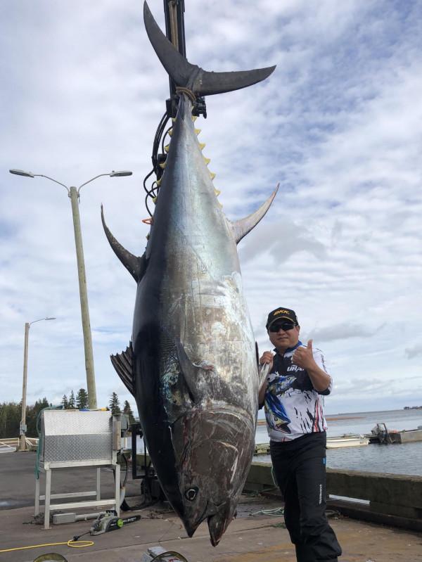 你釣到過最大的魚有多大?20斤?對我來說那叫魚餌 你釣到過最大的魚有多大?20斤?對我來說那叫魚餌