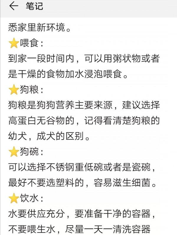 養狗新手接狗前，這些一定要清楚