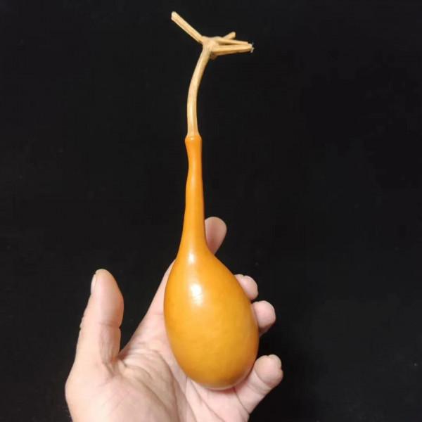 酒葫蘆作品賞析～老瓜條