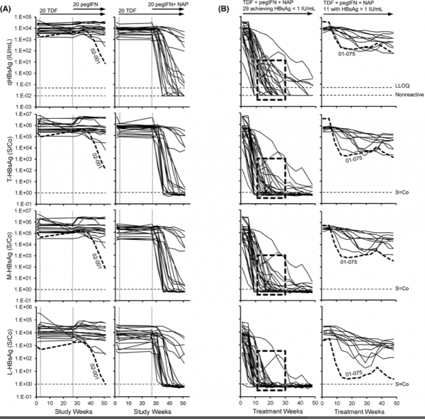 乙肝REP301/-LTF/401研究,S-HBsAg下降更快,完整資料及結論公佈 乙肝REP301/-LTF/401研究,S-HBsAg下降更快,完整資料及結論公佈