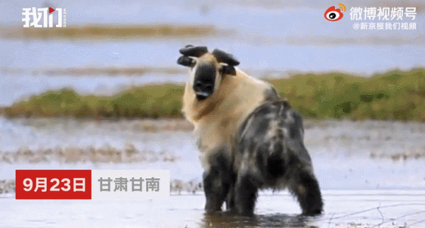 202“憶”② | 這些不期而遇，有靈且美！