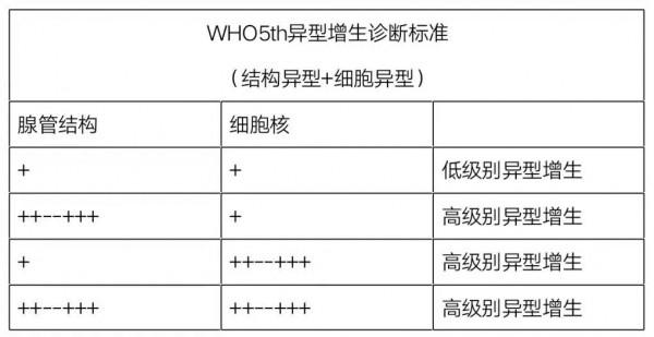 早期胃癌病理診斷：WHO VS.日本標準一文解析