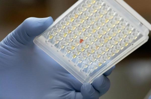 新研究：突破性感染產生對COVID-19的“超級免疫力”