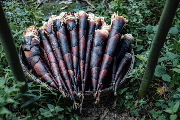 餘生,最聰明的做法,不過是兩個字:存錢 餘生,最聰明的做法,不過是兩個字:存錢