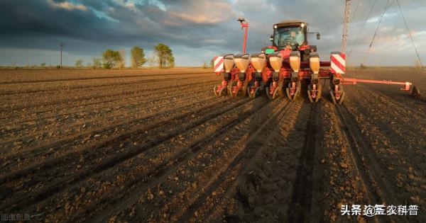 小麥底肥、追肥，用什麼肥料好？每畝用量多少？照著配方做就行