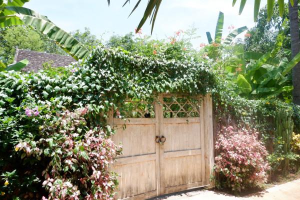 嚮往的生活蘑菇屋收費參觀，20元一人還送果汁，小院實在太美了