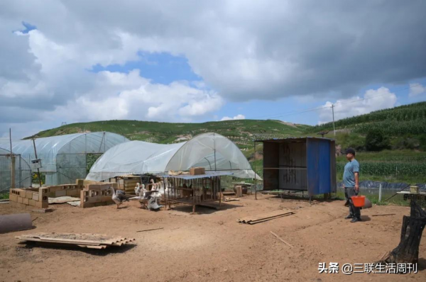 那些回到鄉村的年輕人，現在過得怎麼樣？