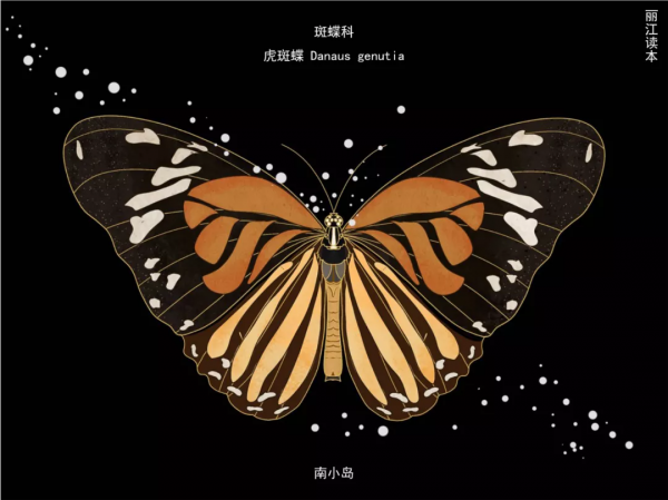 【COP15】看！這一隻只“會飛的花朵”