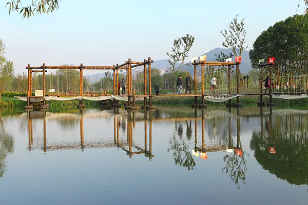 長三角這9條美麗鄉村休閒旅遊行（秋季）路線，你走過幾條？