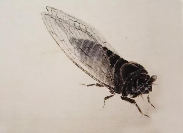 齊白石筆下的飛蟲,精細之極 齊白石筆下的飛蟲,精細之極