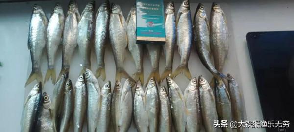 秋季遇到這幾種天氣，請假也要去釣魚，黑坑野釣都能連竿上魚