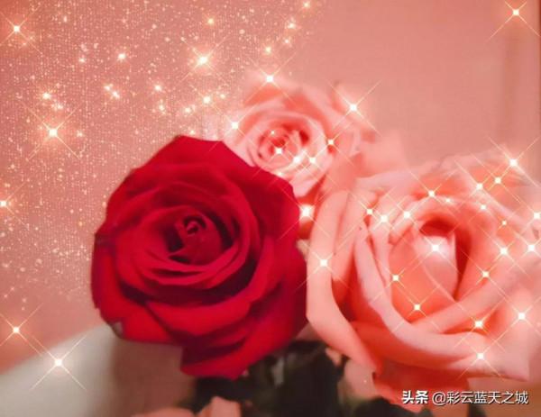 一個人的生活並不好 一個人的生活並不好