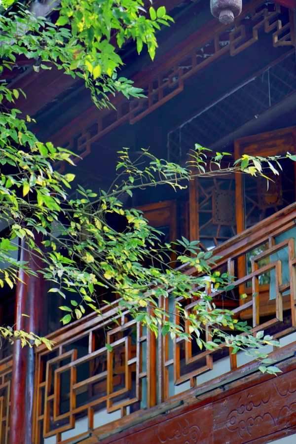 大佛腳下的慢生活丨探尋嘉定坊 感受古韻味 大佛腳下的慢生活丨探尋嘉定坊 感受古韻味