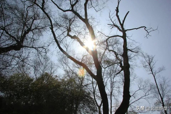 分享一組關山牧場的原生態秋景 分享一組關山牧場的原生態秋景