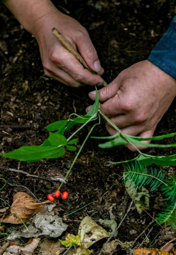 《盜墓筆記》的青銅門真的存在？據傳長白山就有，需爬1442級天梯