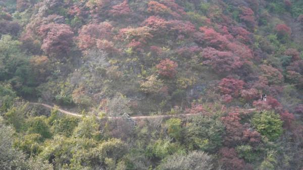 看萬山紅遍,層林盡染(2)——青州天賜山賞紅葉 看萬山紅遍,層林盡染(2)——青州天賜山賞紅葉