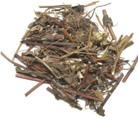 中藥古今研究:一枝黃花 中藥古今研究:一枝黃花