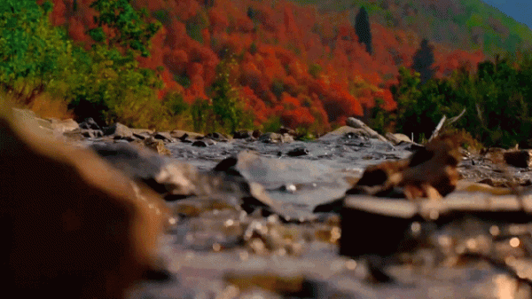 網紅照騙有風險？來羅浮山溫泉旅遊度假區，一秒真實出片！
