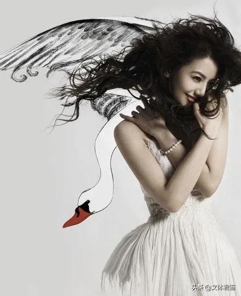 高圓圓365張高畫質美圖，全網直擊美不勝收的“顏值擔當”