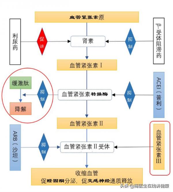 天天吃沙坦類降壓藥,忽略這3點,等於白吃藥,還可能有風險 天天吃沙坦類降壓藥,忽略這3點,等於白吃藥,還可能有風險