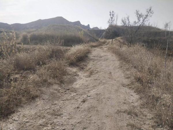 魯家峪的故事(2021－877)