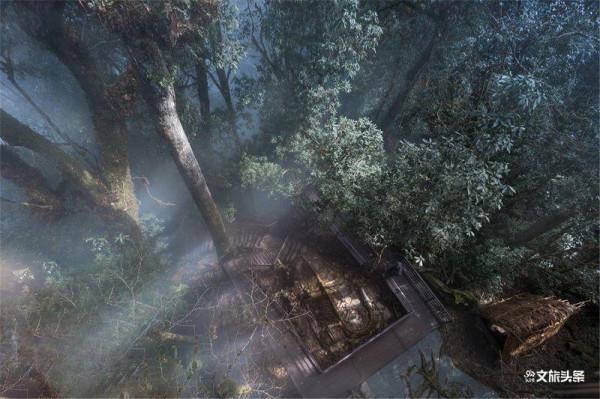 初秋，到屏邊大圍山開始新的故事