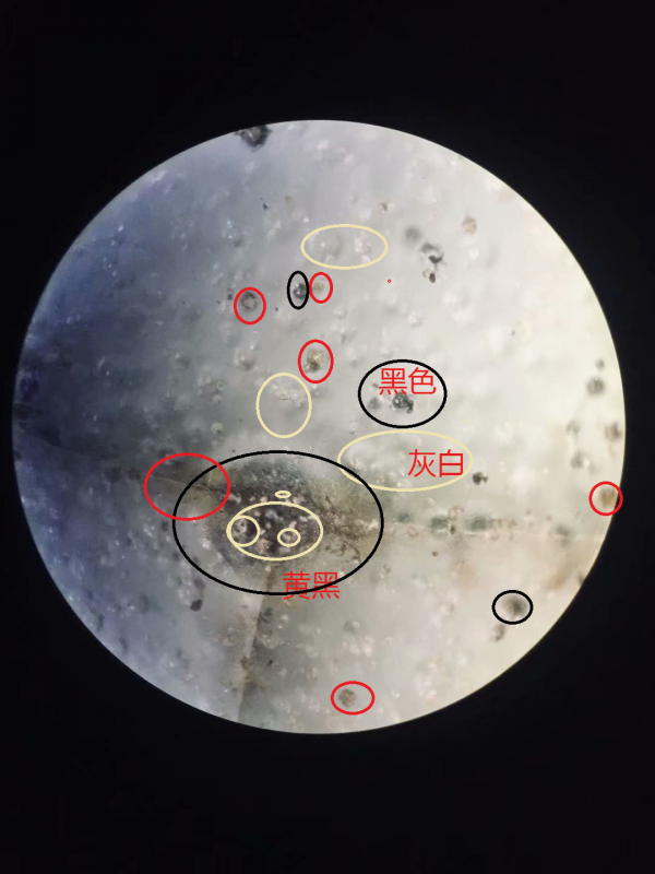 痕跡鑑定一 痕跡鑑定一
