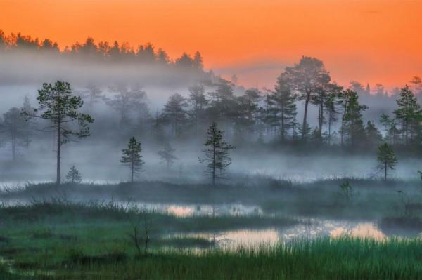 俄羅斯圖片展 &vert; 沒有最美，只有更美
