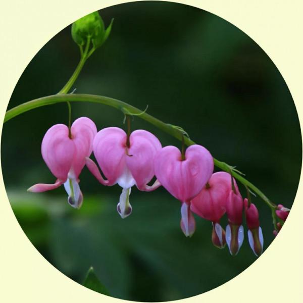 你的微信頭像該換了,美麗的風景,令人心曠神怡 你的微信頭像該換了,美麗的風景,令人心曠神怡