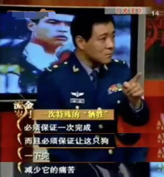 《當家主母》“喵咪事件”愈演愈烈,還有更殘忍的,都停止吧 《當家主母》“喵咪事件”愈演愈烈,還有更殘忍的,都停止吧