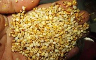 打什麼窩料不重要,重要的是窩料的氣味大不大 打什麼窩料不重要,重要的是窩料的氣味大不大