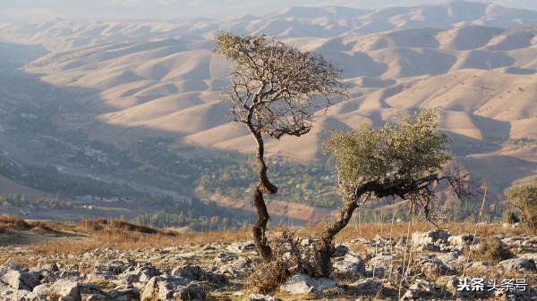 這些月份是羊月,在這些月份出生的人都是羊月生人 這些月份是羊月,在這些月份出生的人都是羊月生人