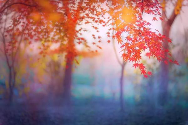 皖南的秋色，藏在這裡